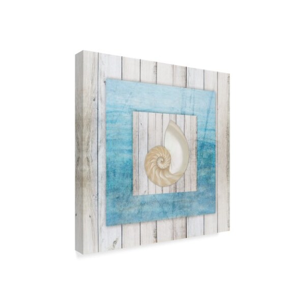 Lightboxjournal 'Blue Frame Spiral Shell' Canvas Art,24x24